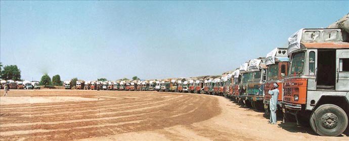 Fodder Sent to the Drought-Hit Areas of Rajasthan