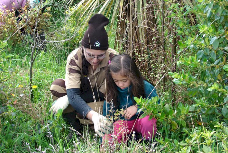 New Zealand Awarded Dera Sacha Sauda for Tree Plantation