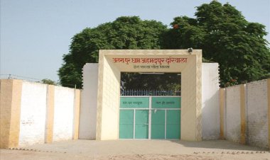 'Dera Sacha Sauda Alakhpur Dham', Ahmadpur Darewala, Sirsa, Haryana
