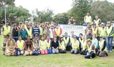 Volunteers of Dera Sacha Sauda carried out a Tree-Plantation Drive in Perth
