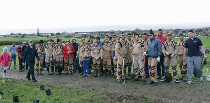 Dera Followers Conducted a Tree Plantation Drive in New Zealand