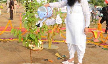 Dera Sacha Sauda leaves no stone unturned, to take care of the Environment, International Mother Earth Day, Special