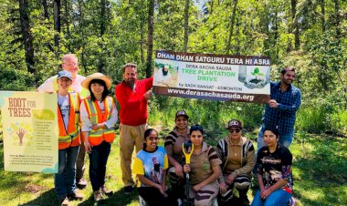 Tree Plantation By Dera Sacha Sauda Canada Volunteers