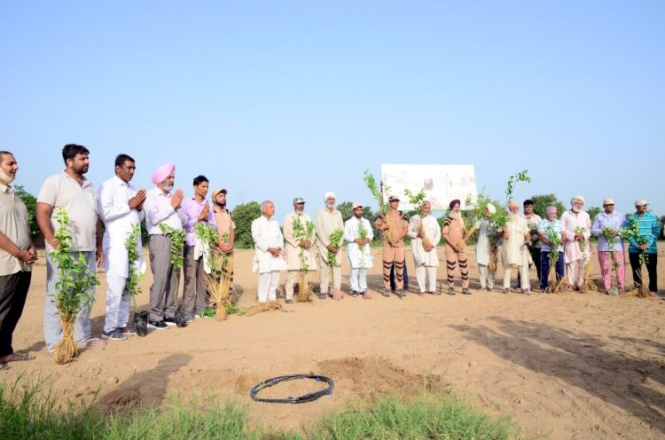 Grand Celebrations of Pious Incarnation Day by Planting More Than 25 Lakh Trees Globally!