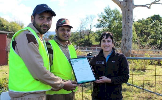 Tree Plantation Campaign Organized in New South Wales, Australia