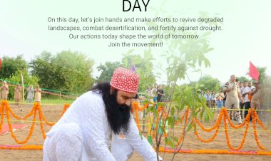 Championing the Cause of Environmental Protection: How Dera Sacha Sauda is Building a Green Future