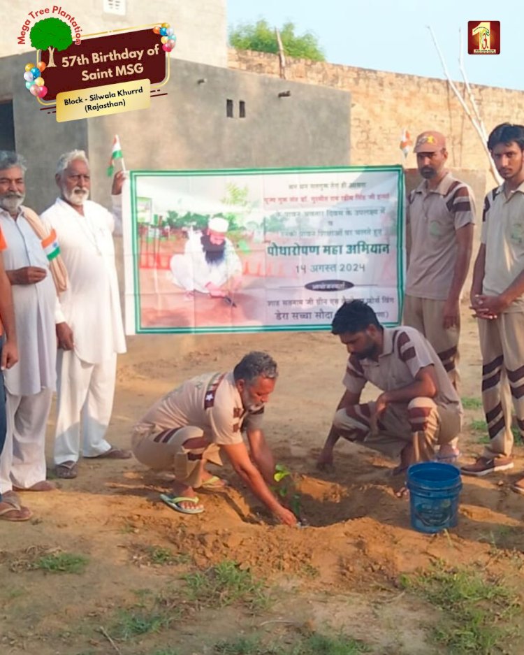 A Sacred Commitment to Sustainability: Honoring MSG Bhandara with a Grand Tree Plantation Drive