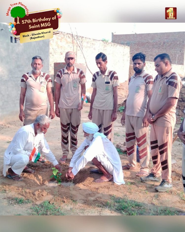 A Sacred Commitment to Sustainability: Honoring MSG Bhandara with a Grand Tree Plantation Drive