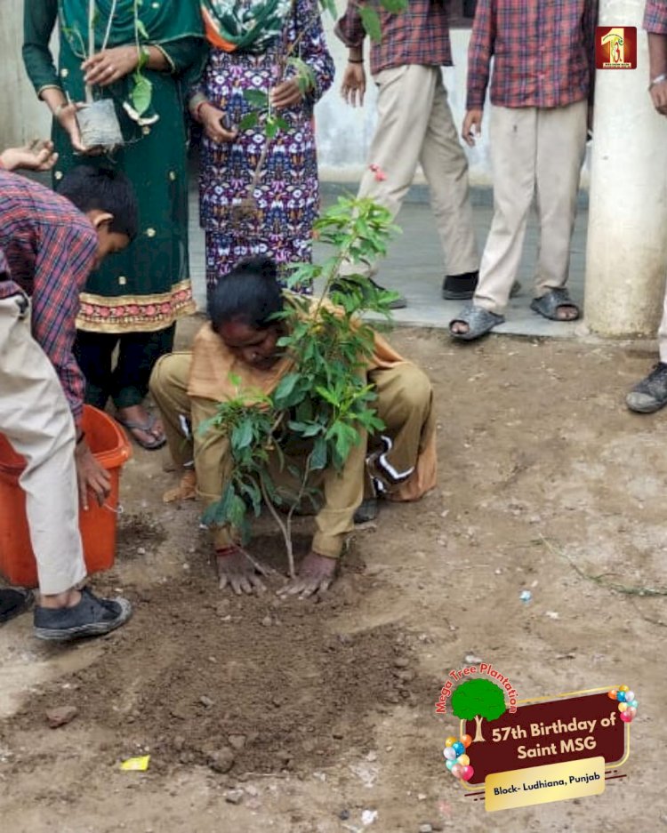 A Sacred Commitment to Sustainability: Honoring MSG Bhandara with a Grand Tree Plantation Drive