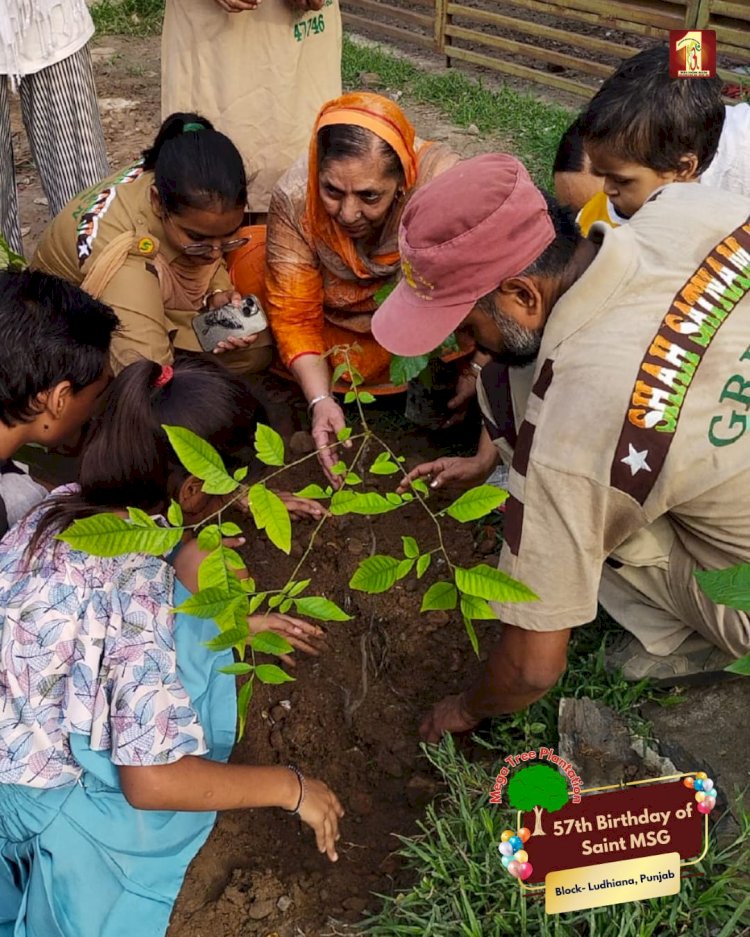 A Sacred Commitment to Sustainability: Honoring MSG Bhandara with a Grand Tree Plantation Drive