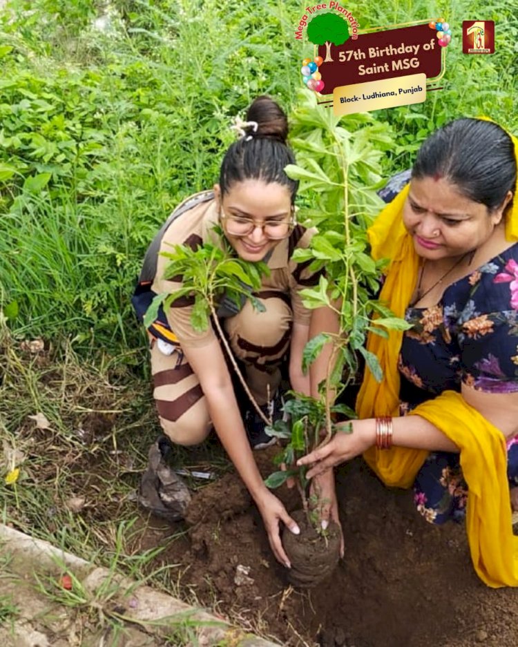 A Sacred Commitment to Sustainability: Honoring MSG Bhandara with a Grand Tree Plantation Drive