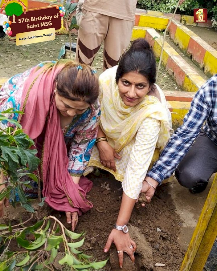 A Sacred Commitment to Sustainability: Honoring MSG Bhandara with a Grand Tree Plantation Drive