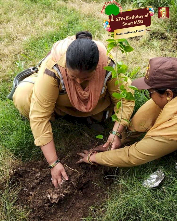 A Sacred Commitment to Sustainability: Honoring MSG Bhandara with a Grand Tree Plantation Drive