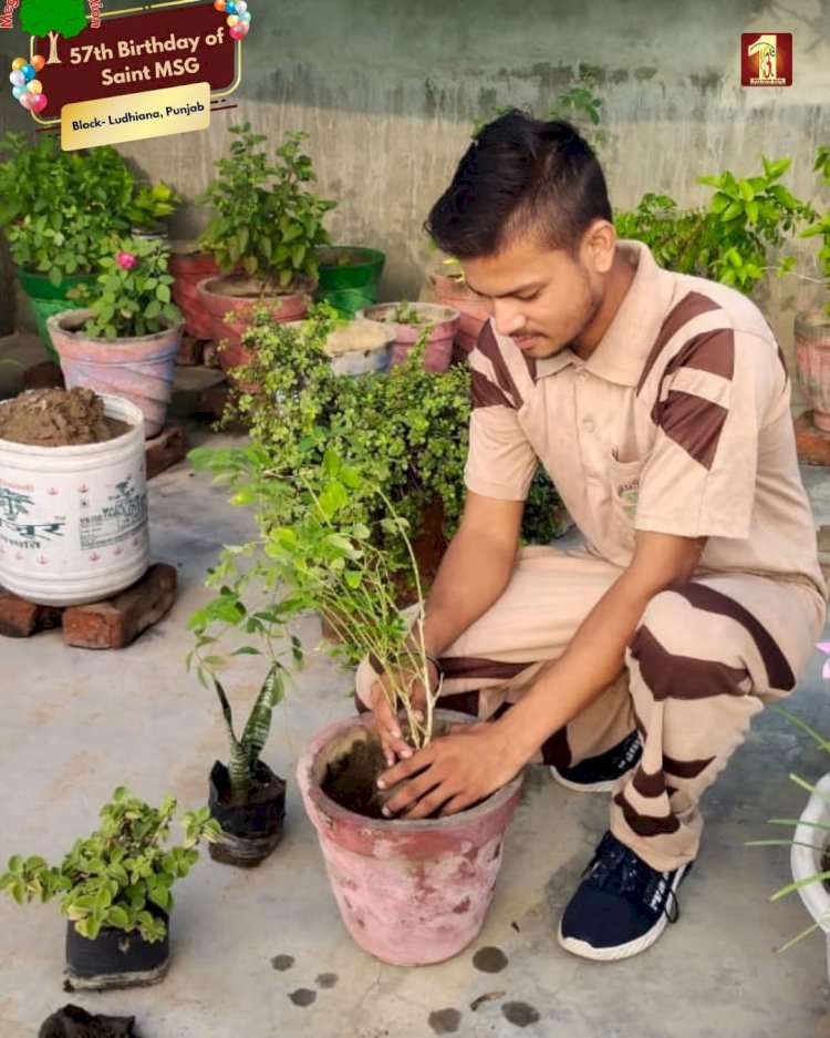 A Sacred Commitment to Sustainability: Honoring MSG Bhandara with a Grand Tree Plantation Drive