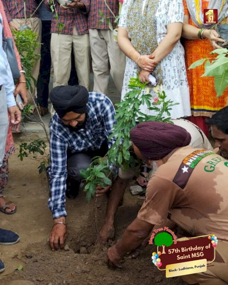 A Sacred Commitment to Sustainability: Honoring MSG Bhandara with a Grand Tree Plantation Drive