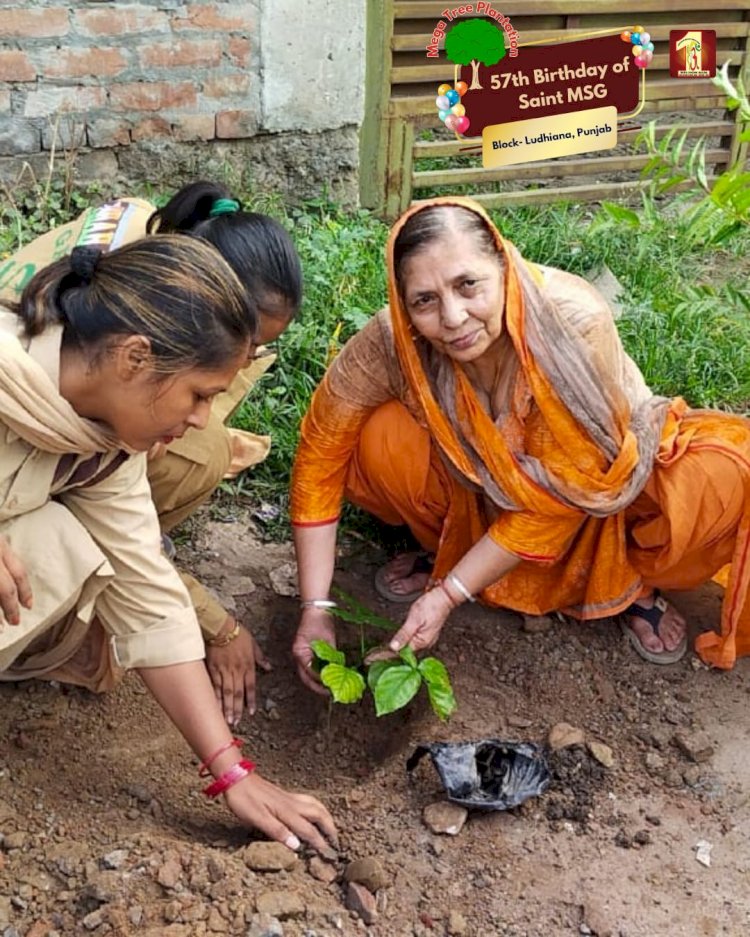 A Sacred Commitment to Sustainability: Honoring MSG Bhandara with a Grand Tree Plantation Drive