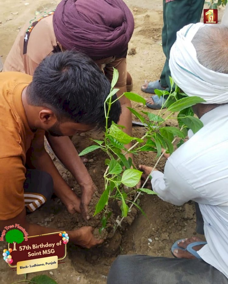 A Sacred Commitment to Sustainability: Honoring MSG Bhandara with a Grand Tree Plantation Drive