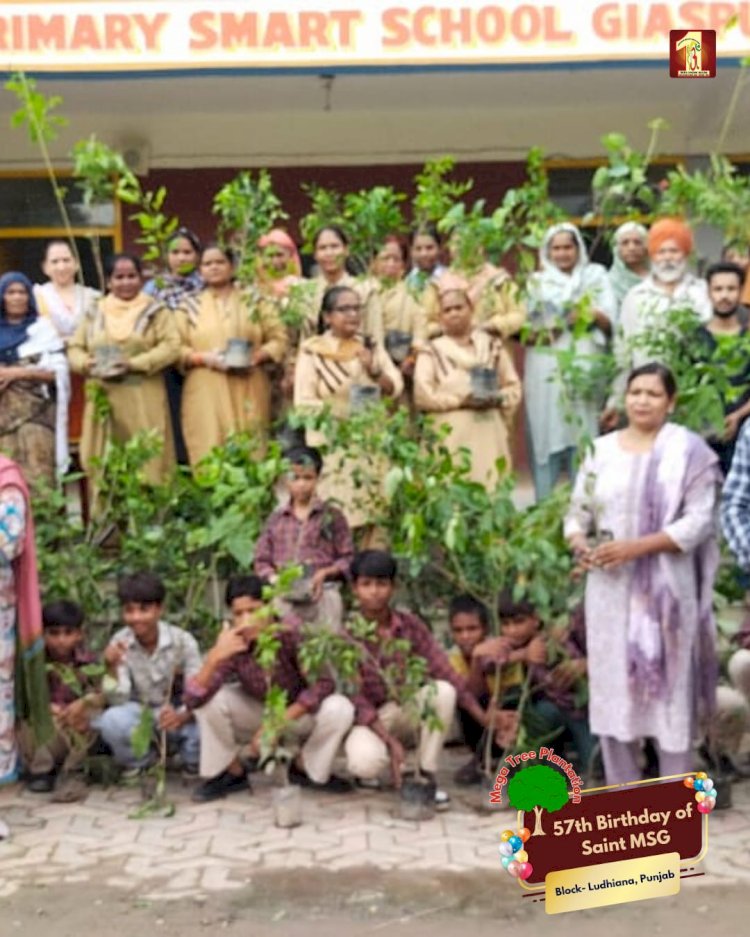 A Sacred Commitment to Sustainability: Honoring MSG Bhandara with a Grand Tree Plantation Drive