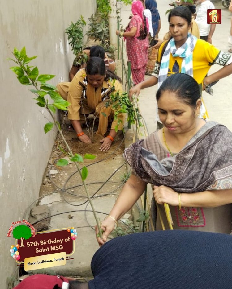 A Sacred Commitment to Sustainability: Honoring MSG Bhandara with a Grand Tree Plantation Drive