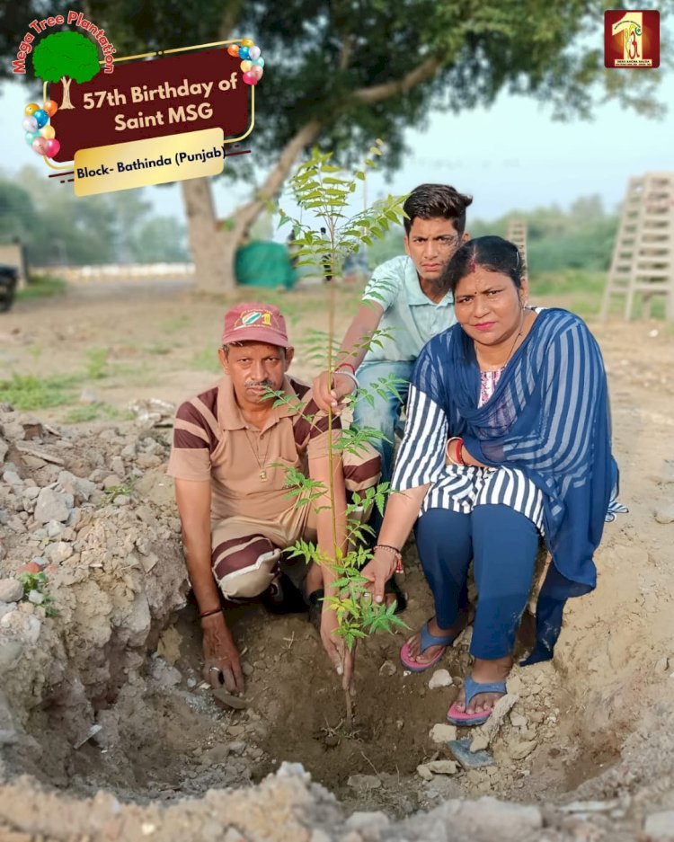 A Sacred Commitment to Sustainability: Honoring MSG Bhandara with a Grand Tree Plantation Drive