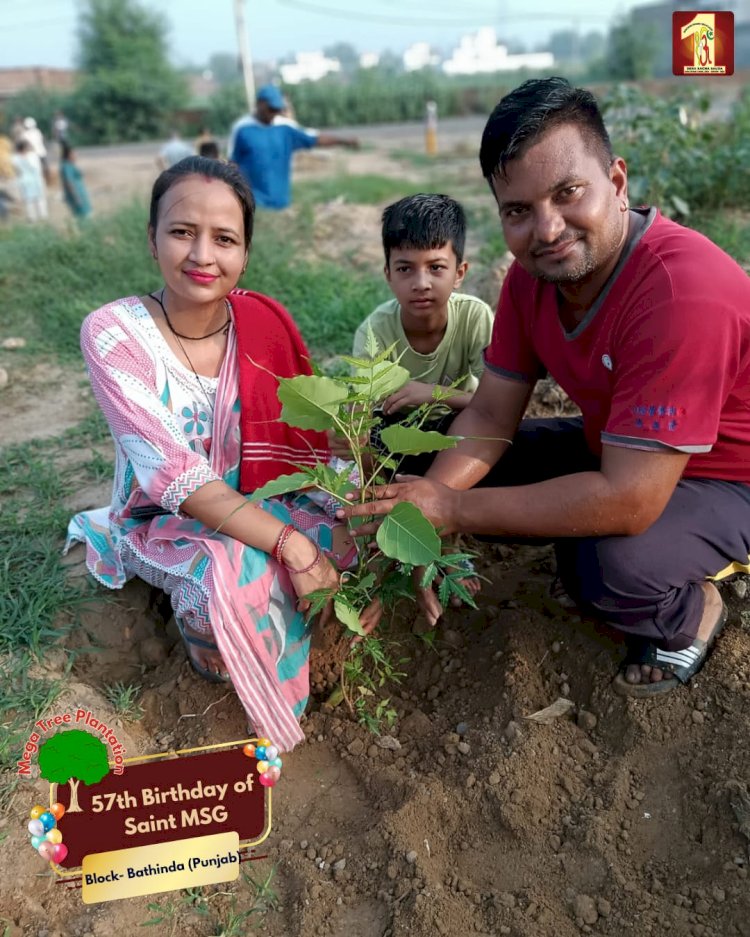 A Sacred Commitment to Sustainability: Honoring MSG Bhandara with a Grand Tree Plantation Drive