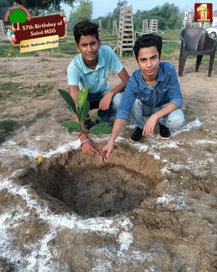 A Sacred Commitment to Sustainability: Honoring MSG Bhandara with a Grand Tree Plantation Drive