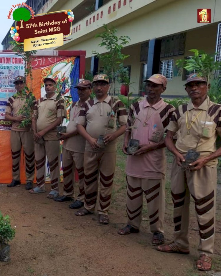 A Sacred Commitment to Sustainability: Honoring MSG Bhandara with a Grand Tree Plantation Drive