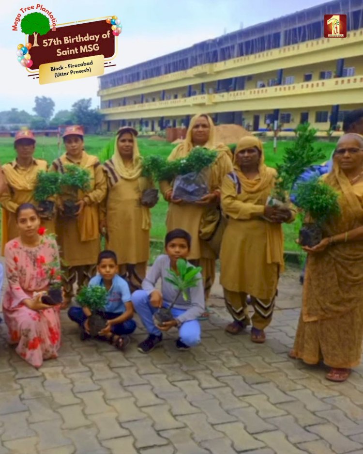 A Sacred Commitment to Sustainability: Honoring MSG Bhandara with a Grand Tree Plantation Drive