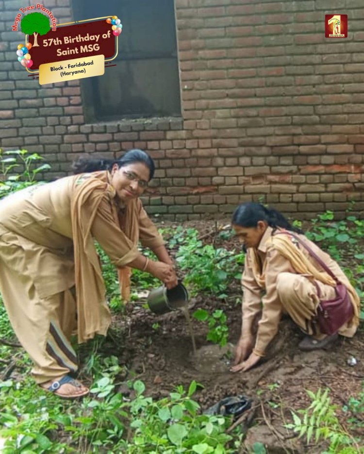 A Sacred Commitment to Sustainability: Honoring MSG Bhandara with a Grand Tree Plantation Drive