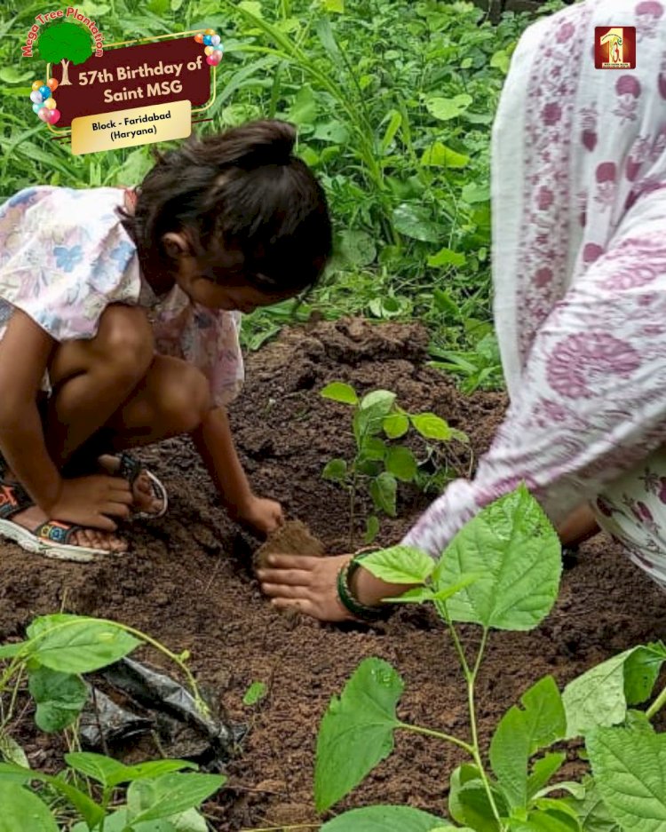 A Sacred Commitment to Sustainability: Honoring MSG Bhandara with a Grand Tree Plantation Drive