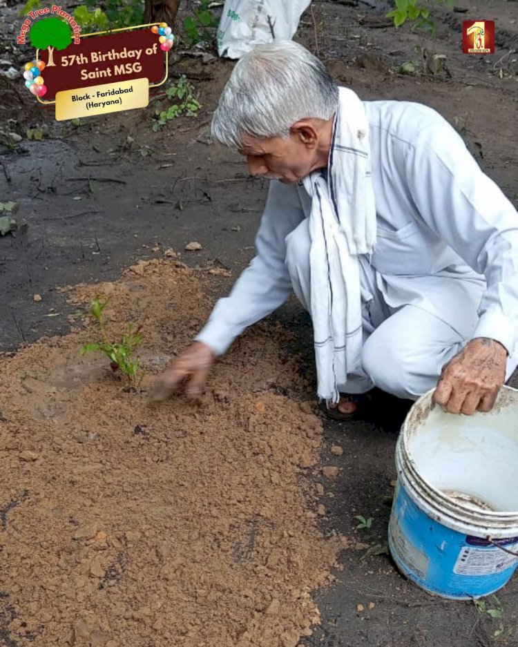 A Sacred Commitment to Sustainability: Honoring MSG Bhandara with a Grand Tree Plantation Drive