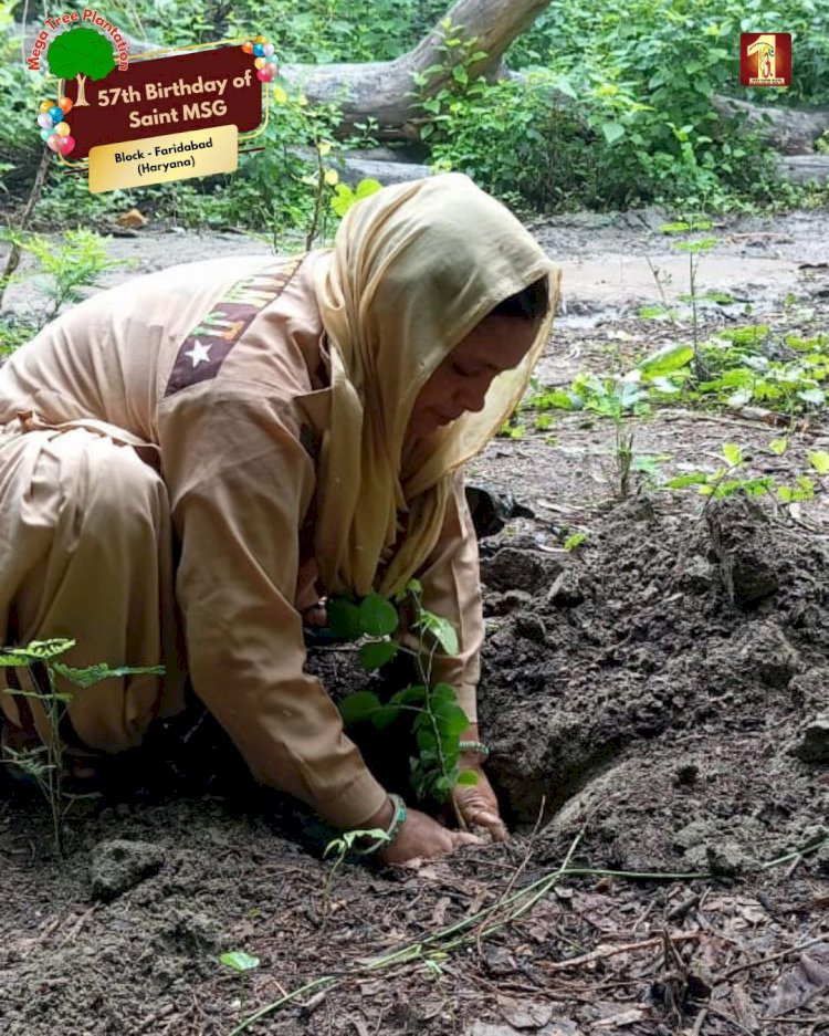 A Sacred Commitment to Sustainability: Honoring MSG Bhandara with a Grand Tree Plantation Drive