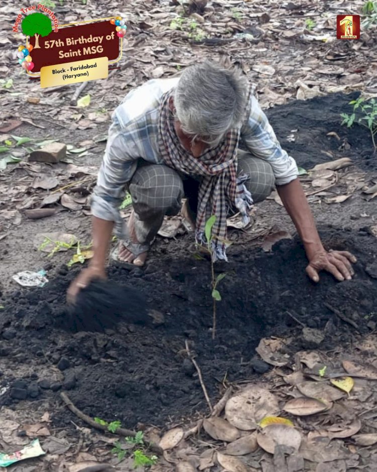 A Sacred Commitment to Sustainability: Honoring MSG Bhandara with a Grand Tree Plantation Drive