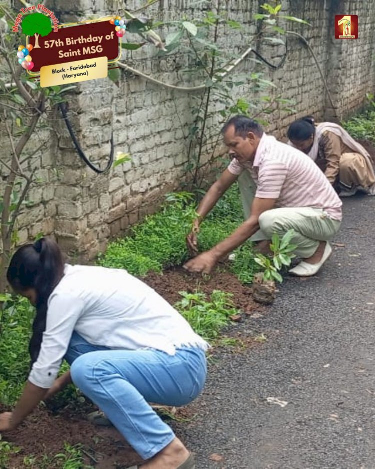 A Sacred Commitment to Sustainability: Honoring MSG Bhandara with a Grand Tree Plantation Drive