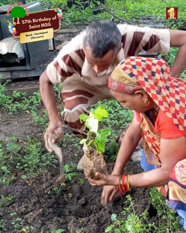 A Sacred Commitment to Sustainability: Honoring MSG Bhandara with a Grand Tree Plantation Drive