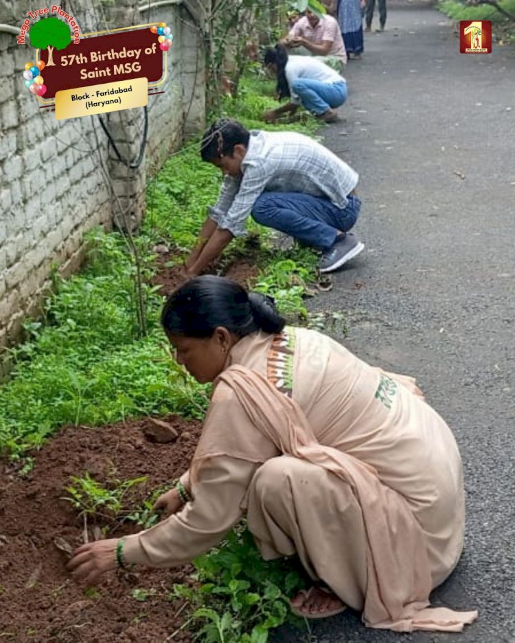 A Sacred Commitment to Sustainability: Honoring MSG Bhandara with a Grand Tree Plantation Drive