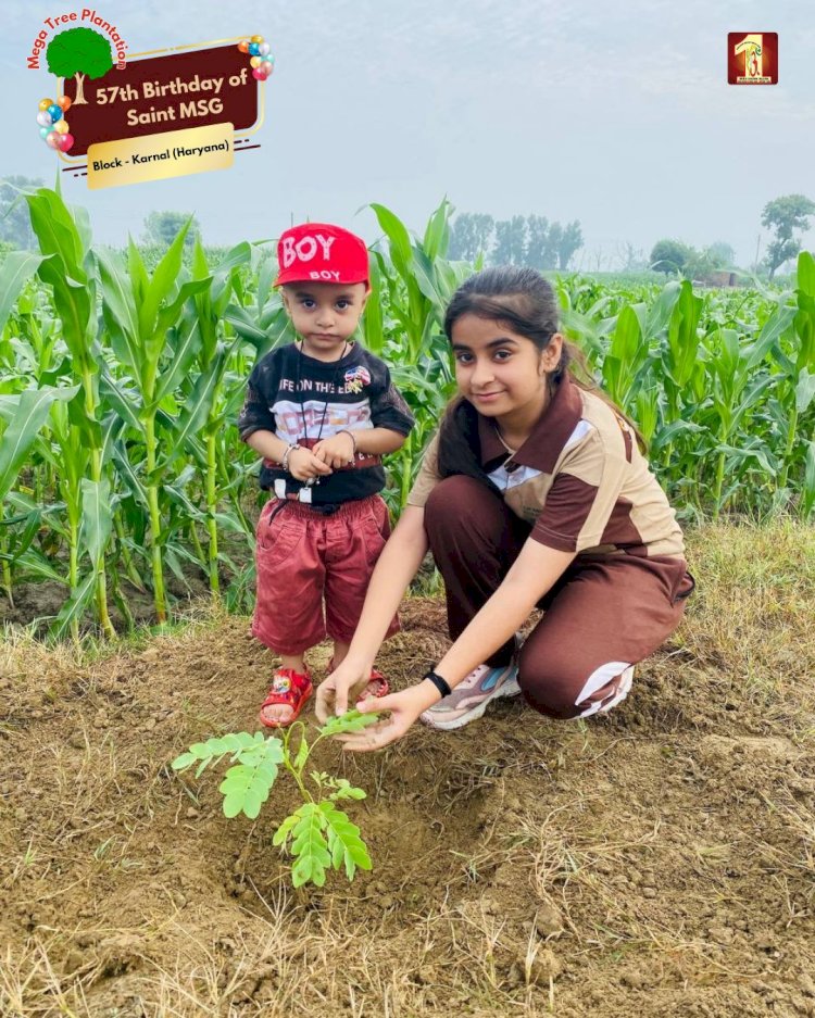 A Sacred Commitment to Sustainability: Honoring MSG Bhandara with a Grand Tree Plantation Drive