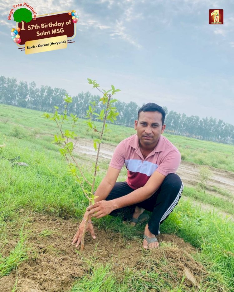 A Sacred Commitment to Sustainability: Honoring MSG Bhandara with a Grand Tree Plantation Drive