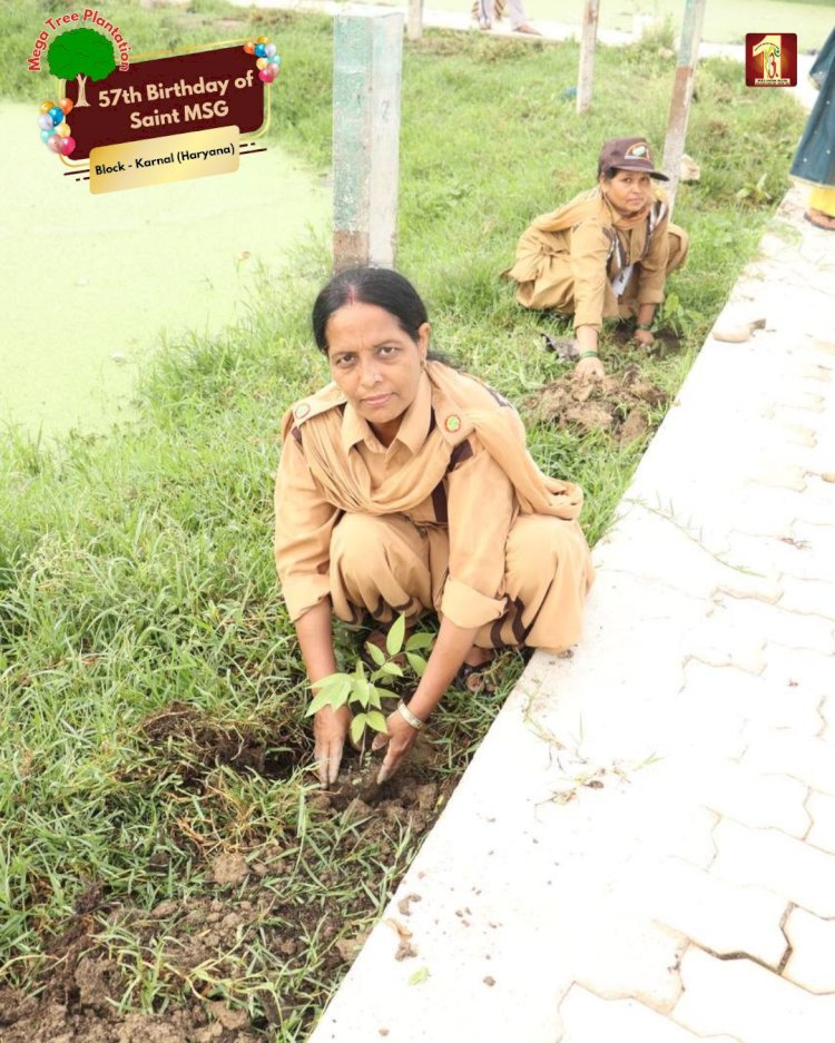 A Sacred Commitment to Sustainability: Honoring MSG Bhandara with a Grand Tree Plantation Drive