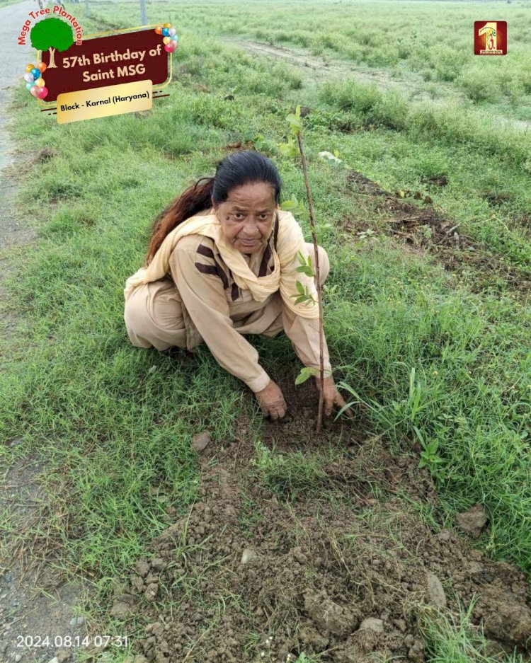 A Sacred Commitment to Sustainability: Honoring MSG Bhandara with a Grand Tree Plantation Drive