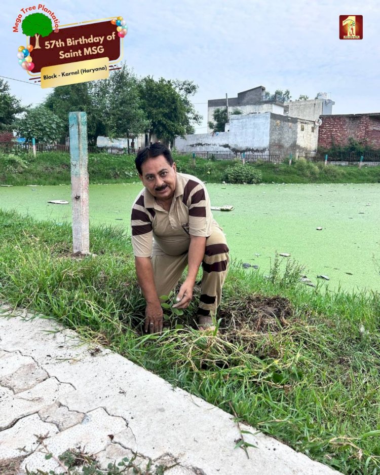 A Sacred Commitment to Sustainability: Honoring MSG Bhandara with a Grand Tree Plantation Drive