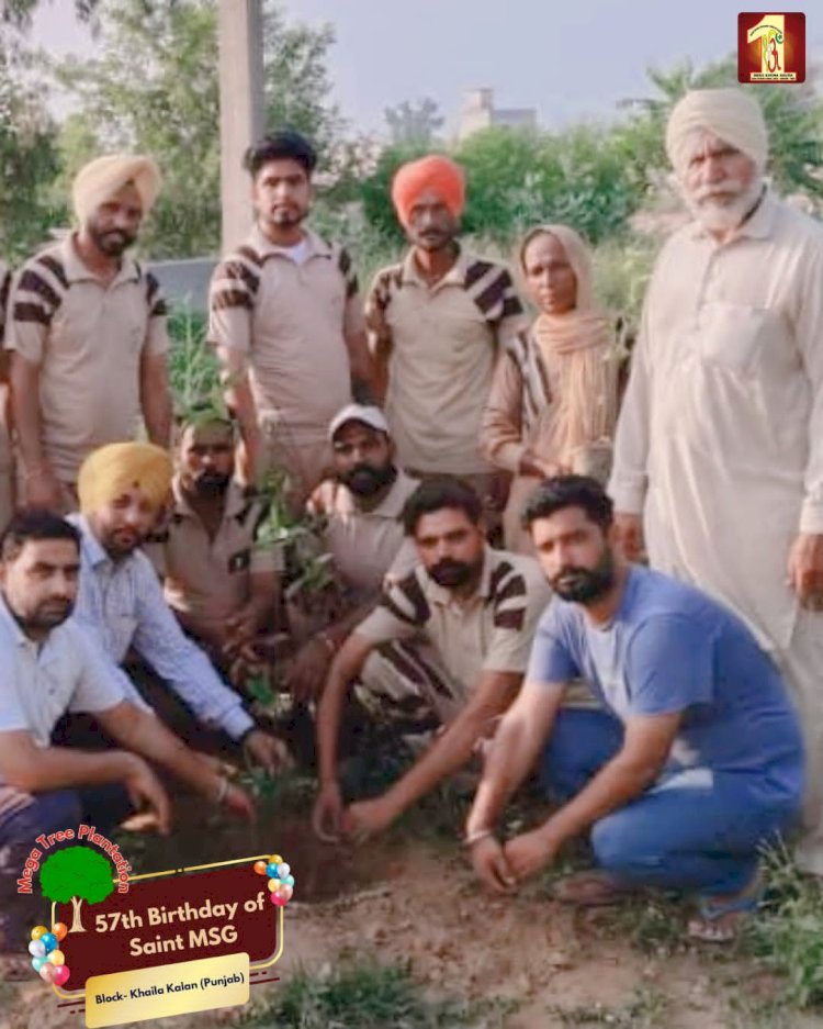 A Sacred Commitment to Sustainability: Honoring MSG Bhandara with a Grand Tree Plantation Drive