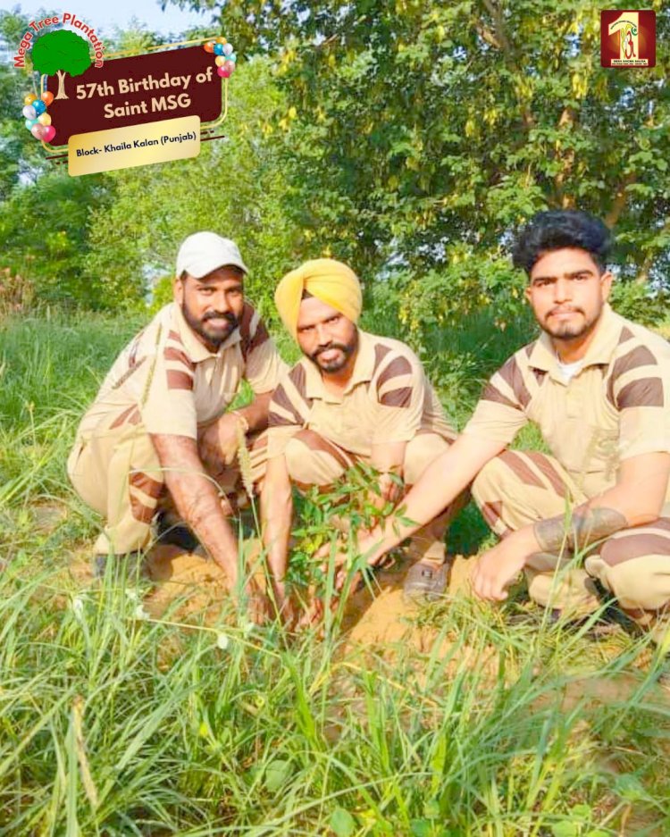 A Sacred Commitment to Sustainability: Honoring MSG Bhandara with a Grand Tree Plantation Drive