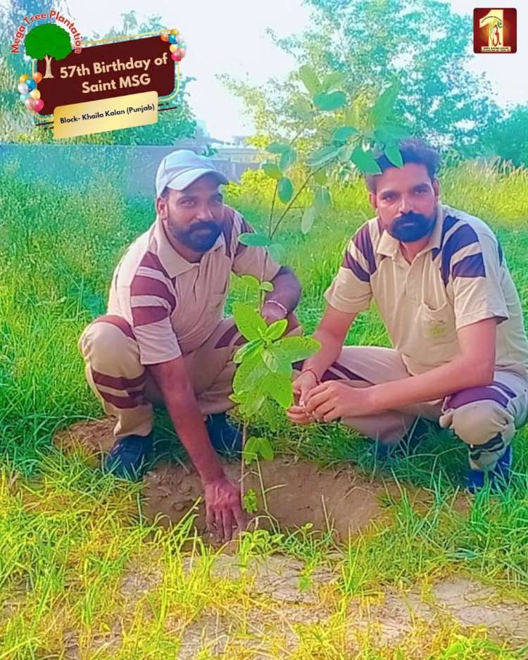 A Sacred Commitment to Sustainability: Honoring MSG Bhandara with a Grand Tree Plantation Drive