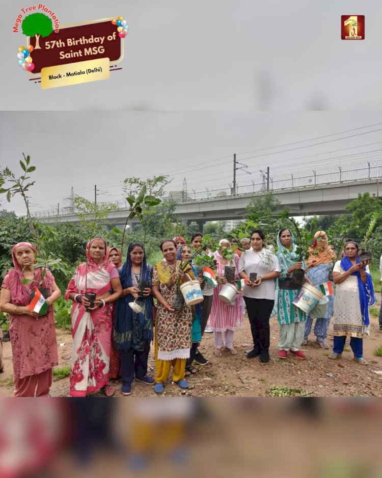 A Sacred Commitment to Sustainability: Honoring MSG Bhandara with a Grand Tree Plantation Drive