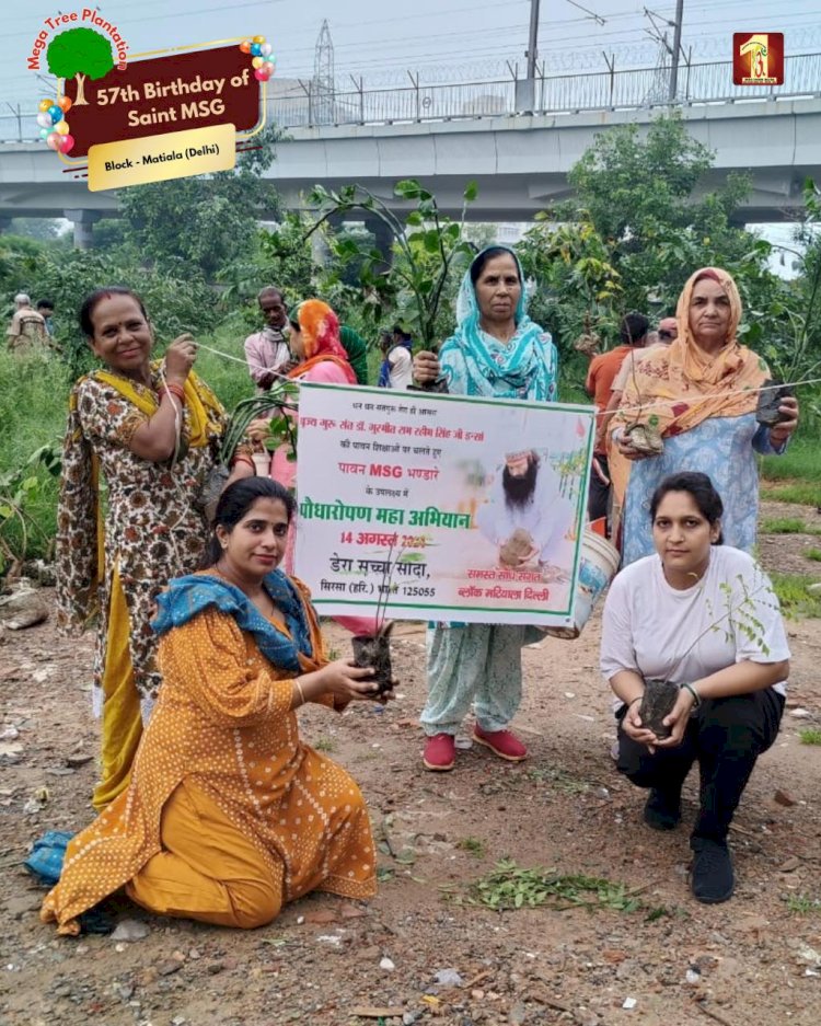 A Sacred Commitment to Sustainability: Honoring MSG Bhandara with a Grand Tree Plantation Drive