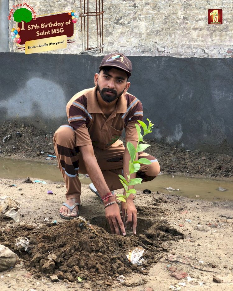 A Sacred Commitment to Sustainability: Honoring MSG Bhandara with a Grand Tree Plantation Drive