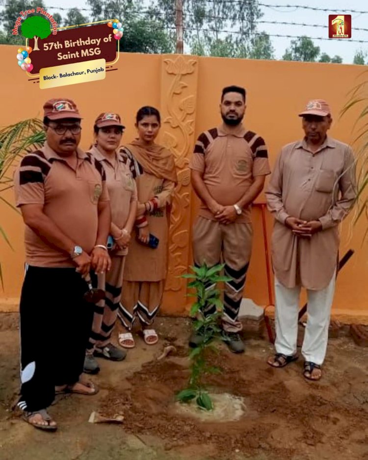 A Sacred Commitment to Sustainability: Honoring MSG Bhandara with a Grand Tree Plantation Drive