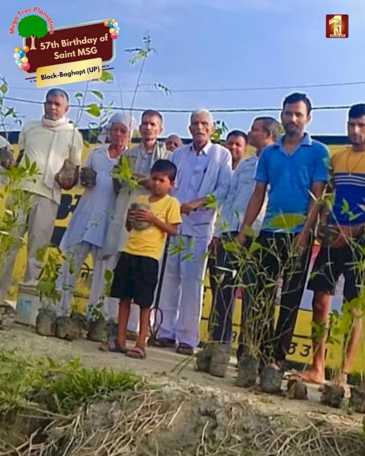 A Sacred Commitment to Sustainability: Honoring MSG Bhandara with a Grand Tree Plantation Drive