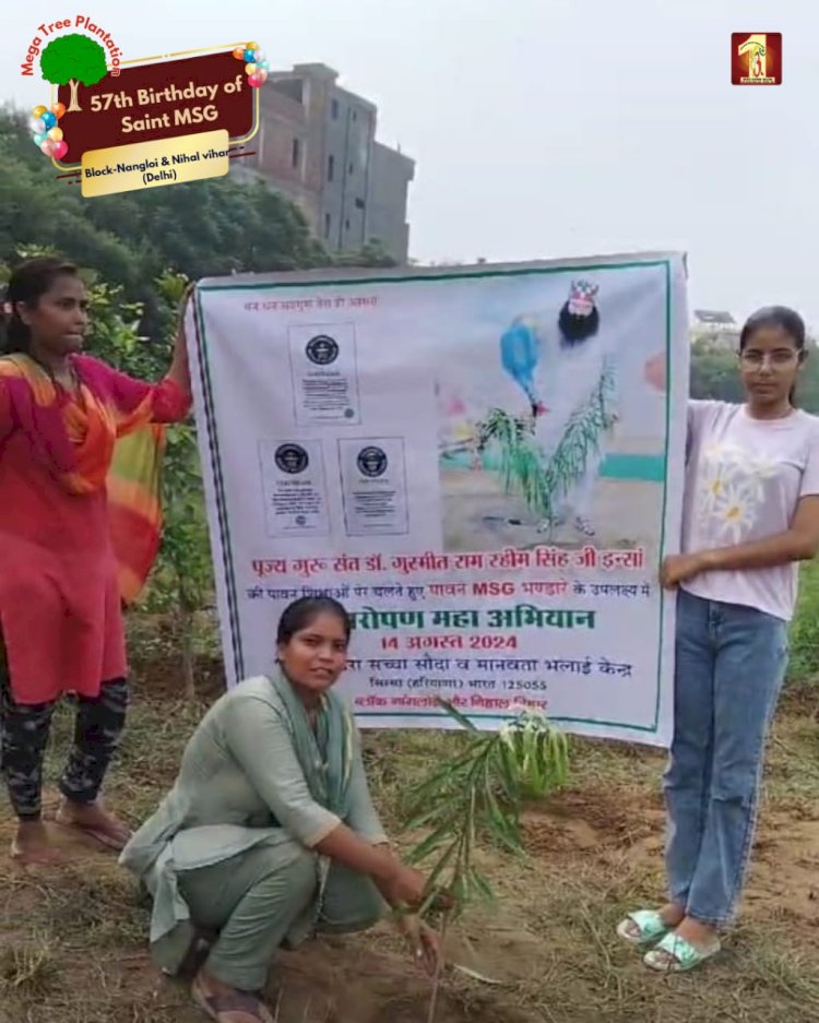 A Sacred Commitment to Sustainability: Honoring MSG Bhandara with a Grand Tree Plantation Drive